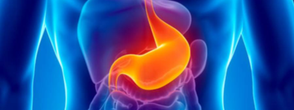 Gastro Surgery